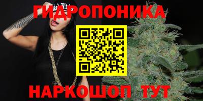шишки Владивосток