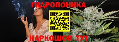 a pvp Владимир