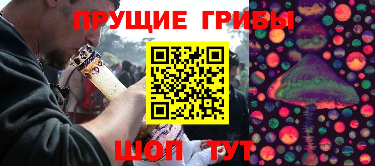 Псилоцибиновые грибы Cubensis  наркота  Гуково  Вход с VPN 